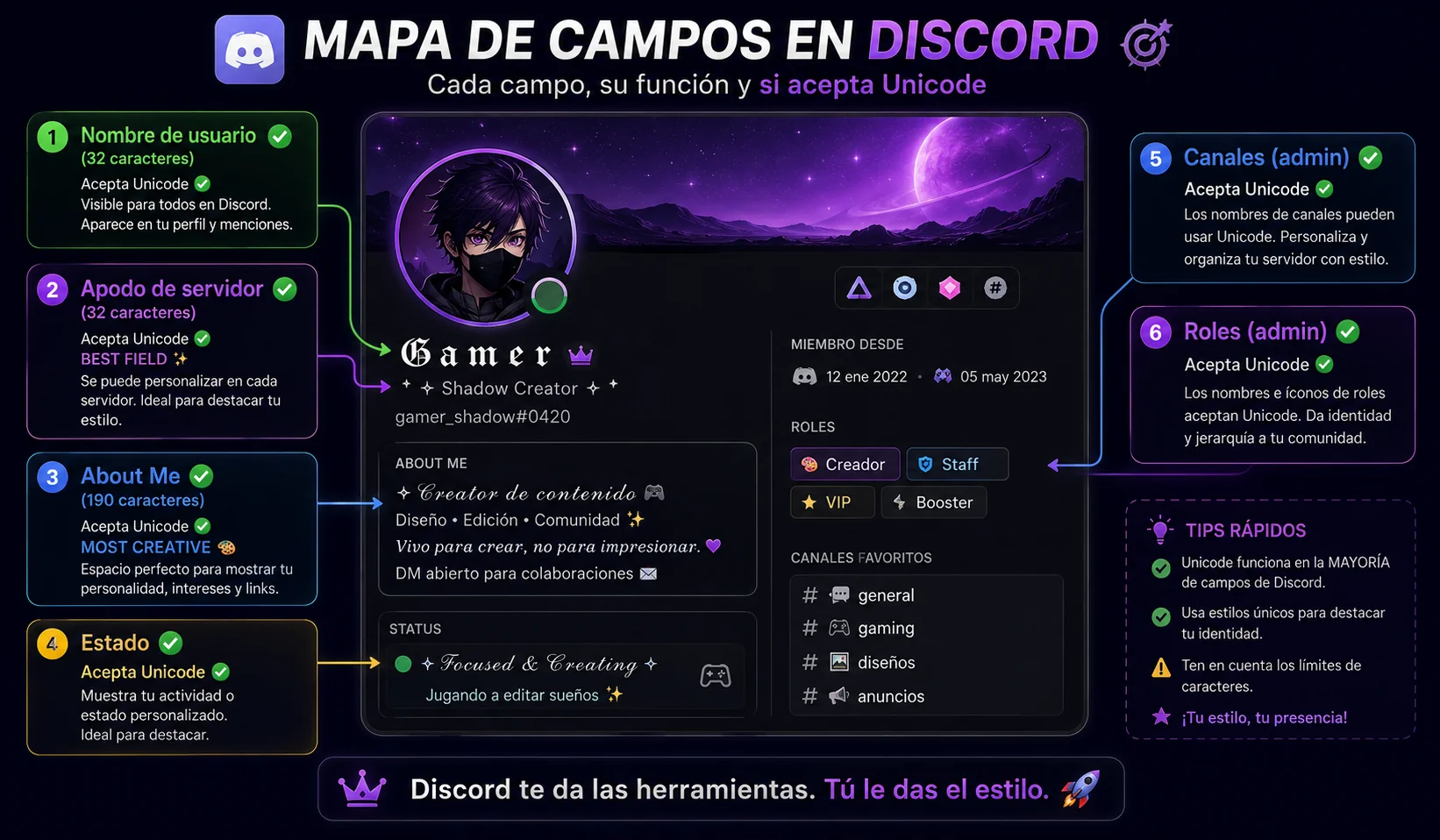 Mapa de campos de Discord con compatibilidad Unicode: nombre de usuario (32 chars), apodo de servidor (32 chars, mejor campo), About Me (190 chars), estado, canales y roles de admin